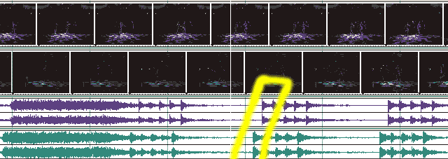 Enlarging the track to better see smaller sound patterns